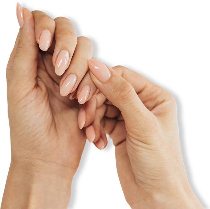 img de mains pour illustrer